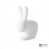 Qeeboo 90006LED — Настольный светильник RABBIT LAMP WITH RECHARGEABLE LED