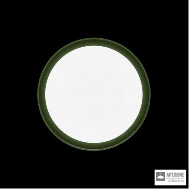 Ares 533020 — Настенно-потолочный светильник Anna310 Mid-Power LED / Bicolour Structure White-Green